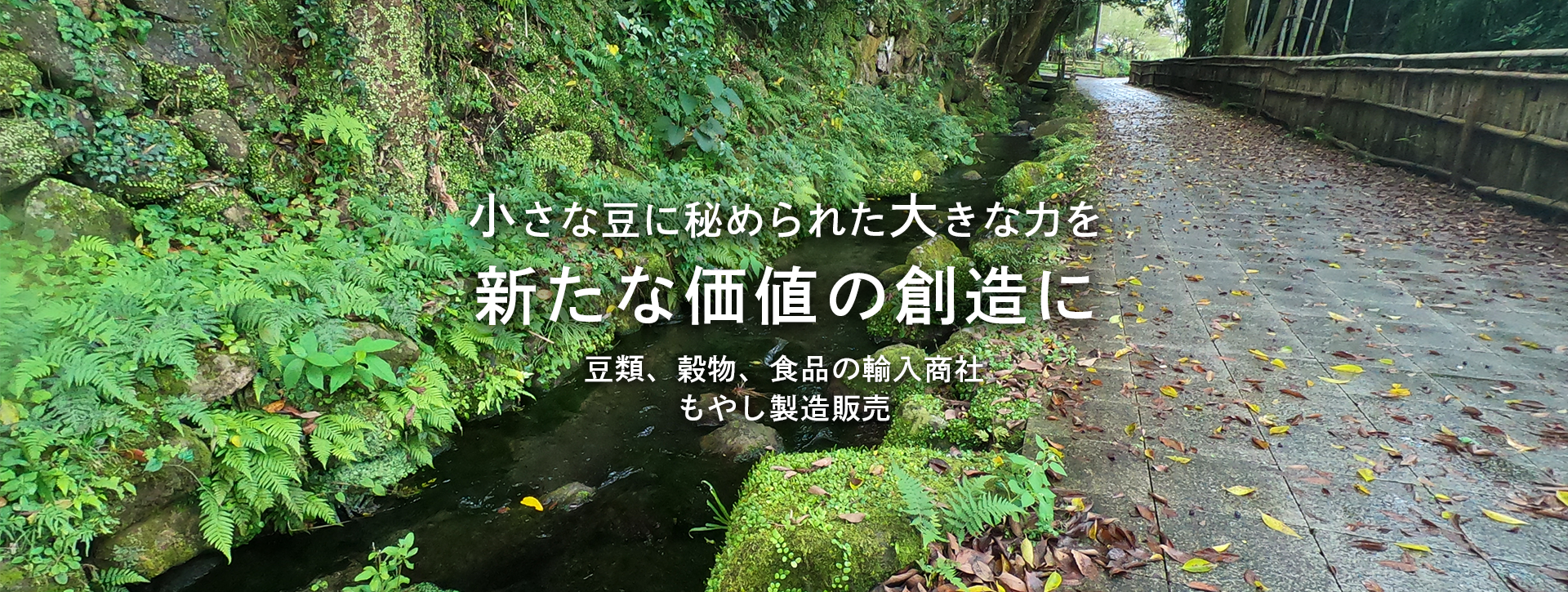 小さな豆に秘められた大きな力を新たな価値の創造に