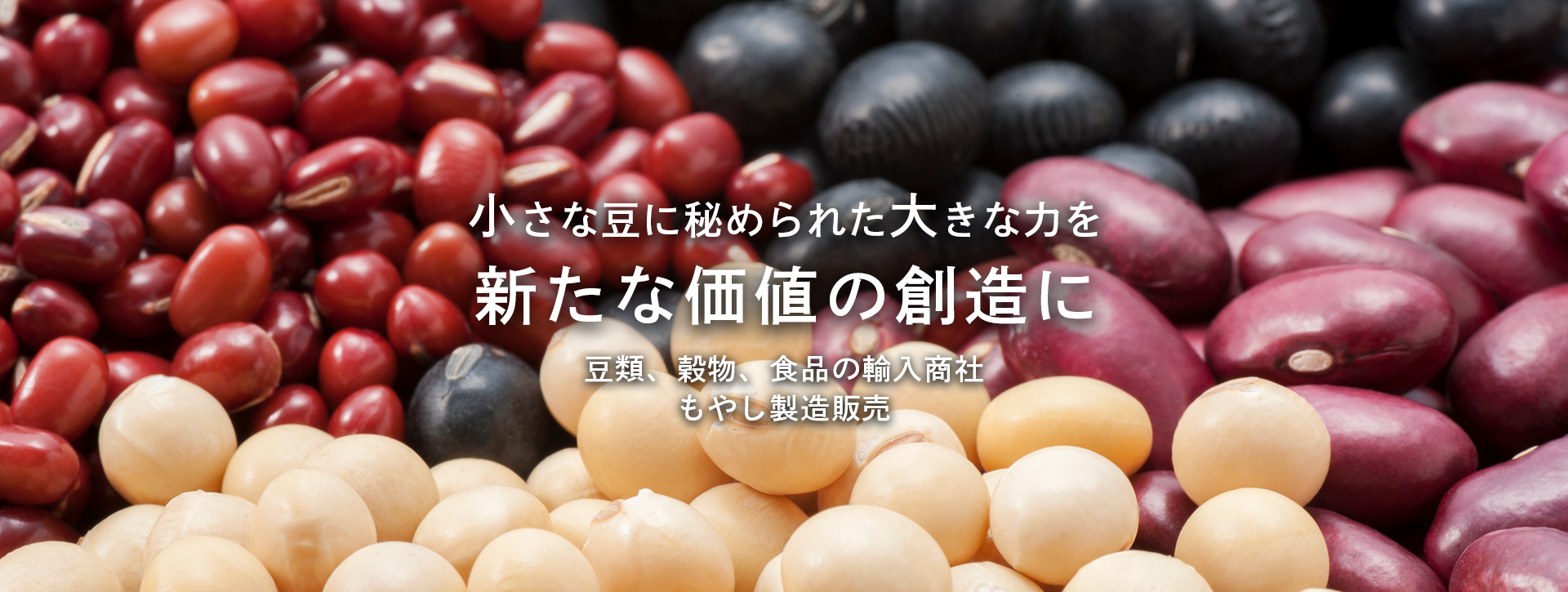 小さな豆に秘められた大きな力を新たな価値の創造に