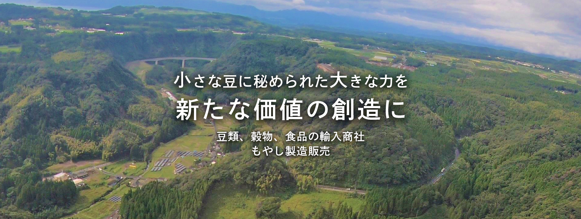 小さな豆に秘められた大きな力を新たな価値の創造に